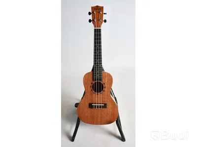 Ukulele Kokio 3 st ink softcase